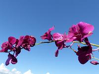 Lac Inle (65)